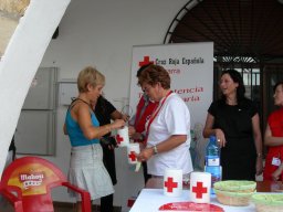 FBanderita 2011010